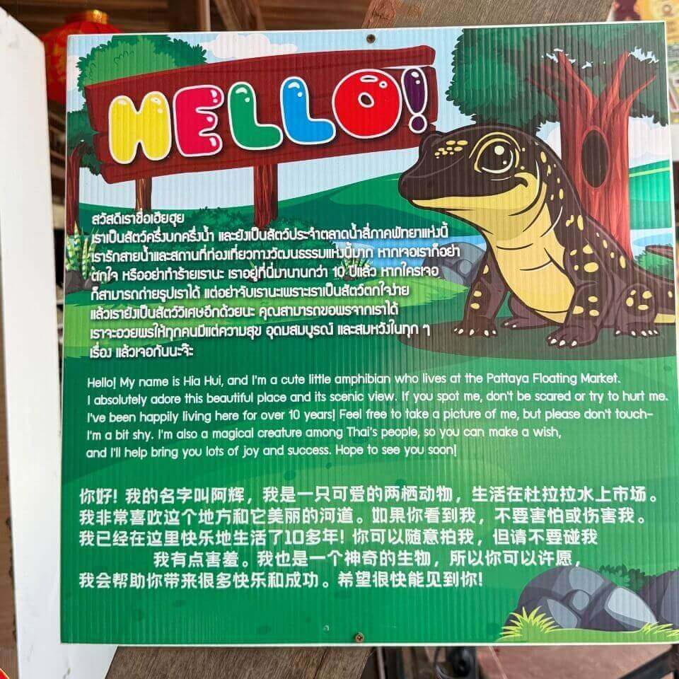 Hinweisschild mit Hia Hui, Amphibien Illustration und mehrsprachigem Erklärungstext am Pattaya Floating Market
