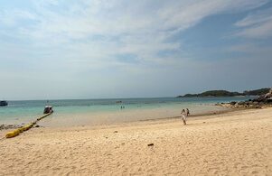 Heller Sand und klares Wasser auf Koh Larn Strand auf Koh Larn mit hellem Sand, klarem Meer und ruhigem Badebereich
